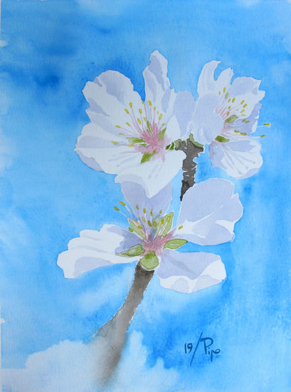 flores de almendro 2 Watercolour Paper Floral Painting