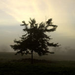 Paisaje thumbnail 1