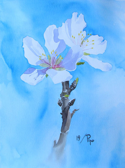 flores de almendro 3 Watercolour Paper Floral Painting