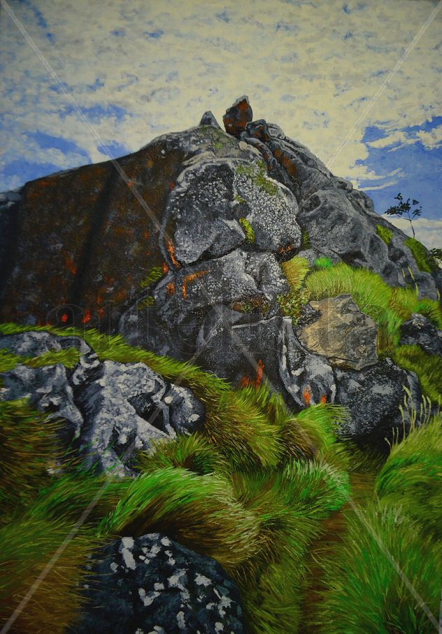 Elevación de rocas
