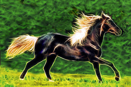 Caballo salvaje3