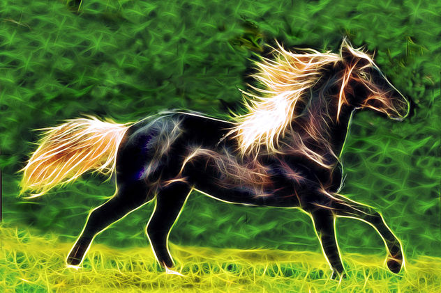 CABALLO SALVAJE3