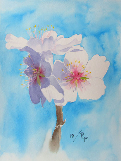 flores de almendro 4 Watercolour Paper Floral Painting