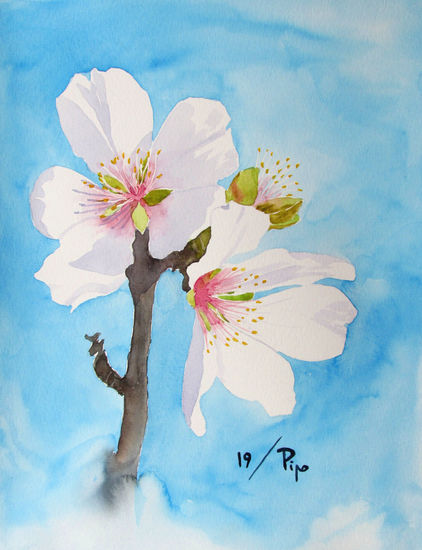 flores de almendro 5 Watercolour Paper Floral Painting