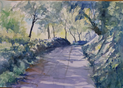 Camino