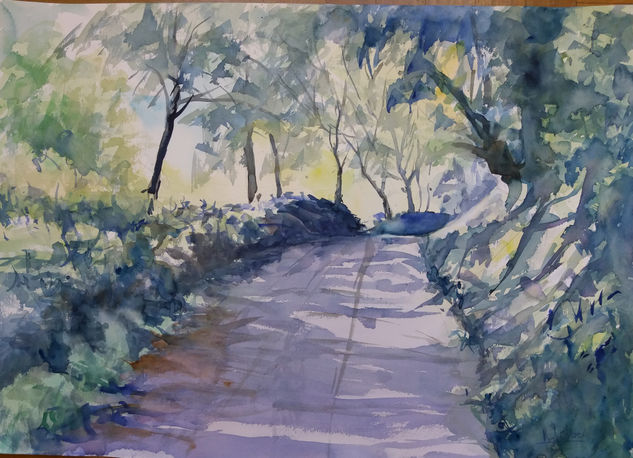 camino Watercolour Paper Landscaping