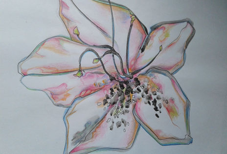 FlorA