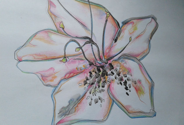 FlorA