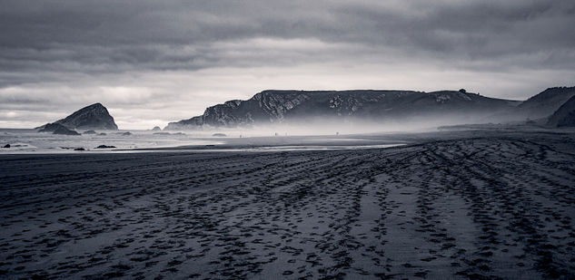 Bayas /  Spanish Beach Naturaleza Blanco y Negro (Digital)