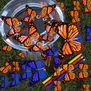 EFECTO MARIPOSA A