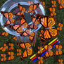 EL EFECTO MARIPOSA B