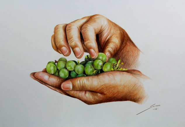 Uvas Lápiz