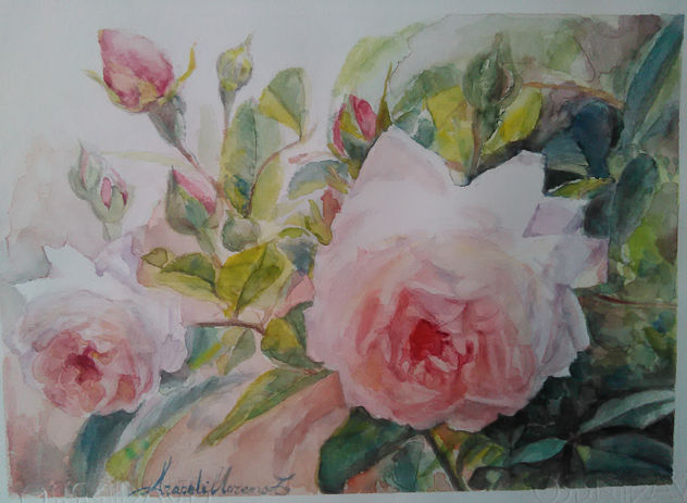 Rosas