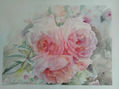 ROSAS