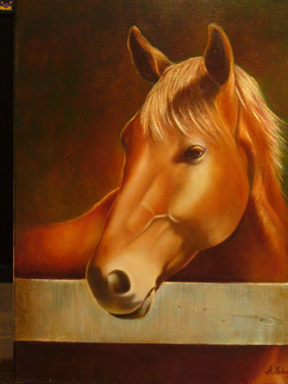 potrillo Oil Canvas Animals