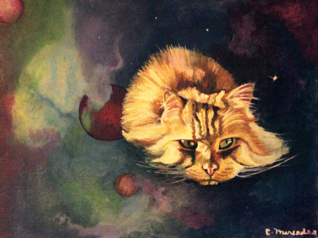 FELINO    FELINE