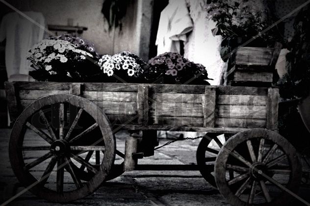 Carreta