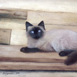 Animales thumbnail 2