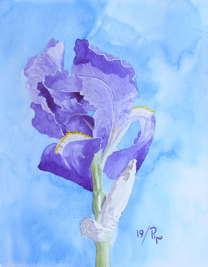 lirio violeta Watercolour Paper Floral Painting