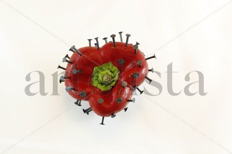 Pimiento con clavos