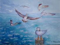 Gaviotas