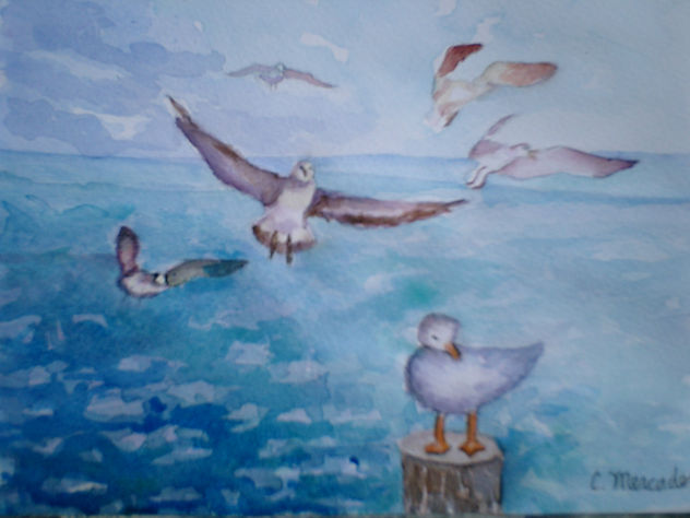 gaviotas