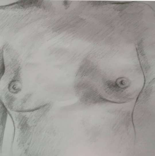 torso desnudo, año 2010, constitucion, chile. Graphite