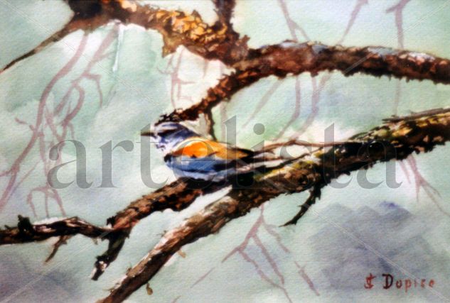 Pájaro en la rama/Páxaro na rama/Bird in the branch Watercolour Paper Figure Painting