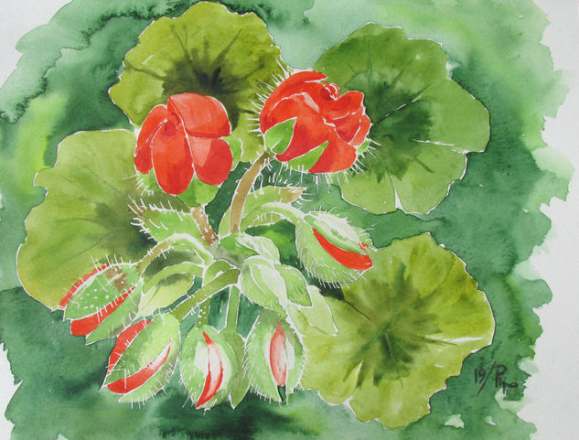 cogollos de geranio rojo Watercolour Paper Floral Painting