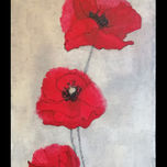 flores thumbnail 2