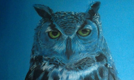 Tucuquere azul