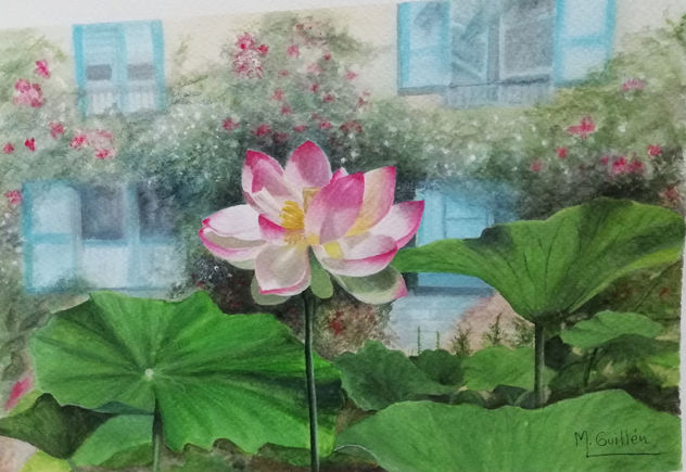flor de loto