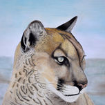 Felinos thumbnail 1