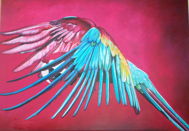 alas de mil colores