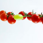 SERIE FOOD thumbnail 1