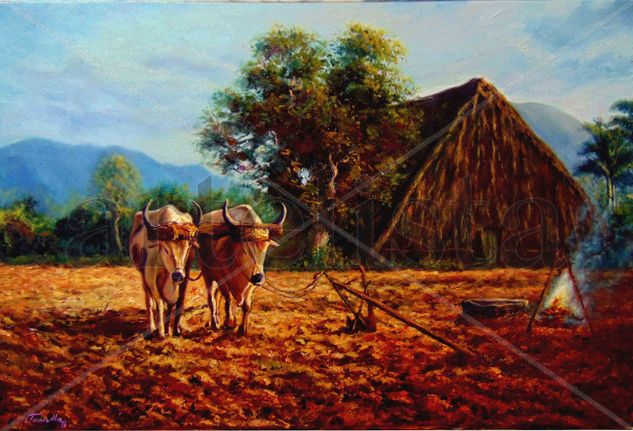 A la espera o amanecer en campo cubano Óleo Lienzo Paisaje