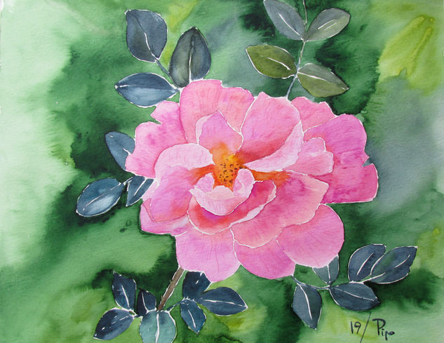 rosa rosa Watercolour Paper Floral Painting