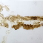 Abstracción:Dibujo y Danza thumbnail 2