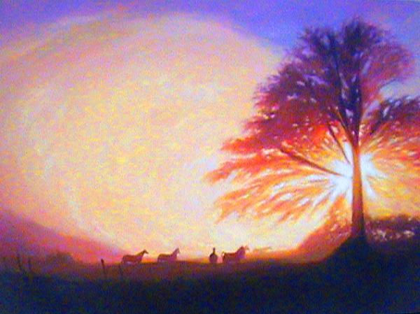 campo al amanecer