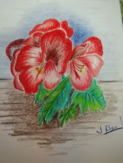 Flor roja Pencil