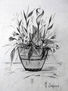 Bodegón de glores/Natureza morta de flores/Still life of flowers