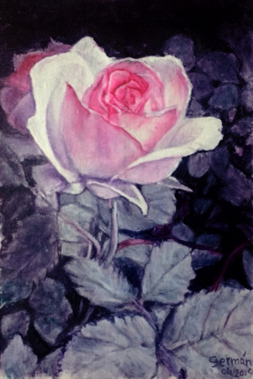 rosa ROSA Oil Canvas Floral Painting