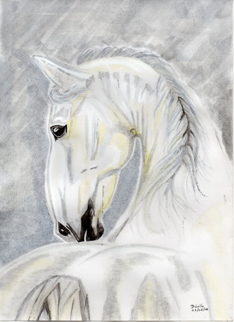Caballo