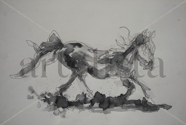 CABALLO 14