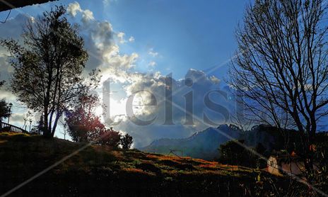 Campo