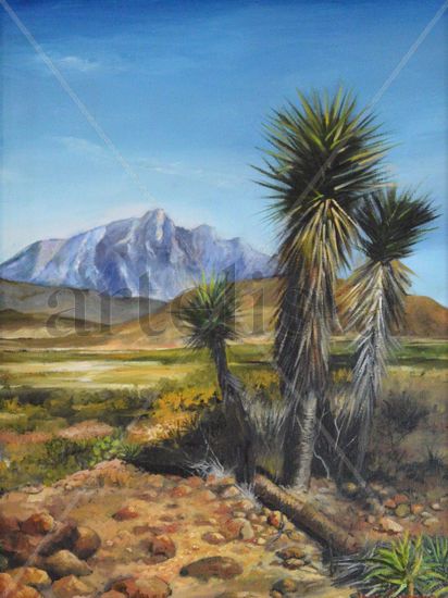 El Fraile Acrylic Canvas Landscaping