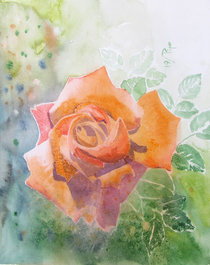Rosa naranja 2