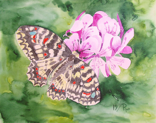 mariposa arlequín Watercolour Paper Floral Painting