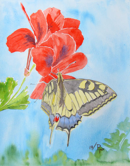 mariposa macaón sobre geranio Watercolour Paper Floral Painting