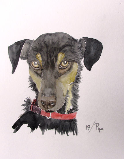 perro ratonero Watercolour Paper Animals